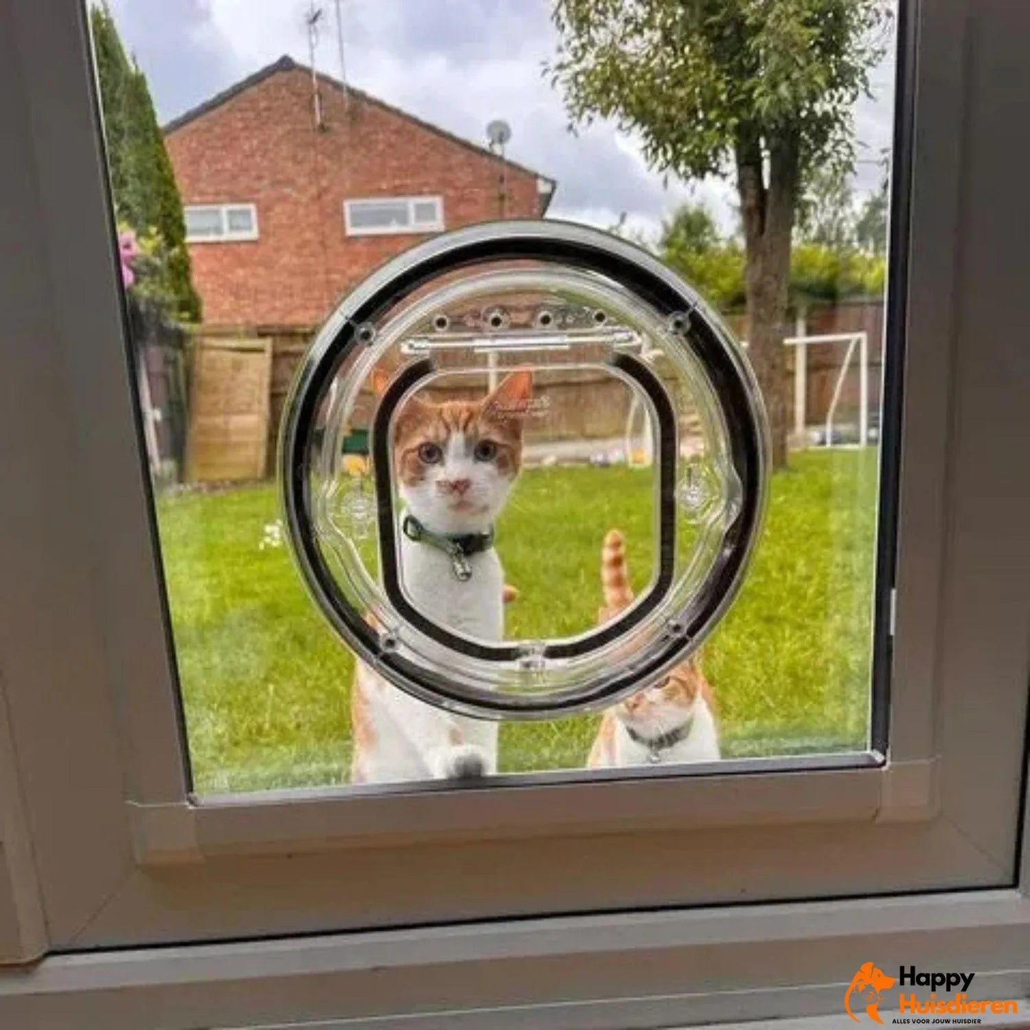 OpenTail | Instelbaar Kattenluik met Draaivergrendeling