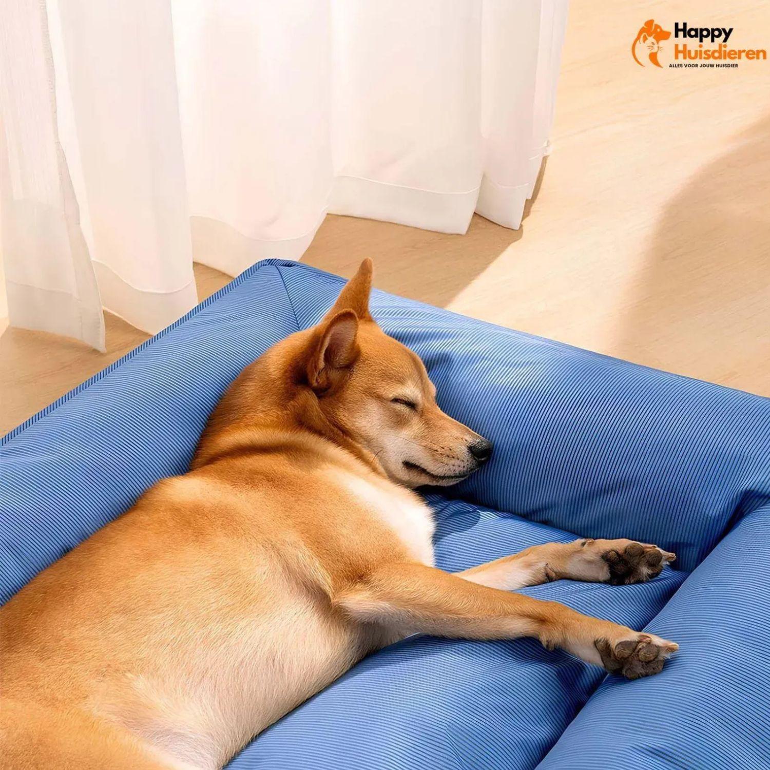 OrthoEase Bed | Waterdicht Orthopedisch Ligbed voor Grote Honden