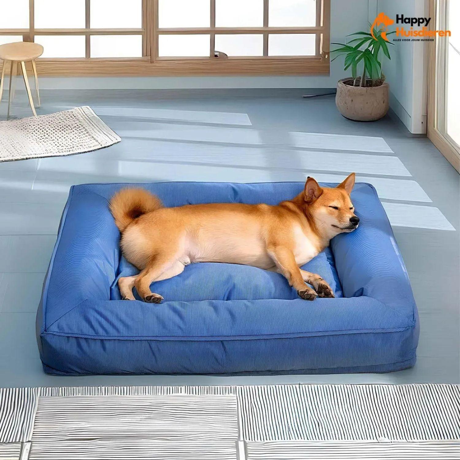 OrthoEase Bed | Waterdicht Orthopedisch Ligbed voor Grote Honden