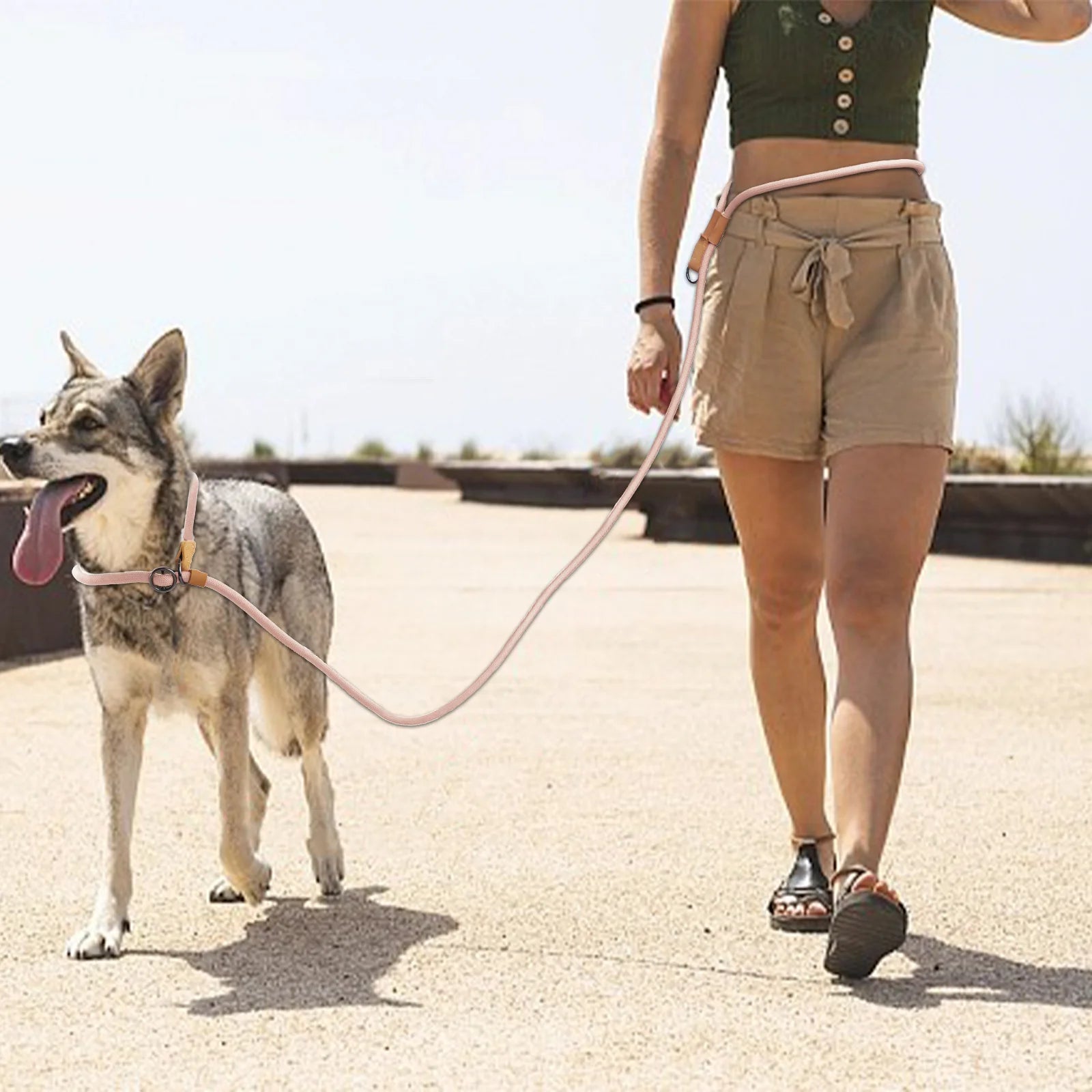 PawControl Hondenlijn | Verstelbare P-Vorm Lijn voor Wandelen en Training