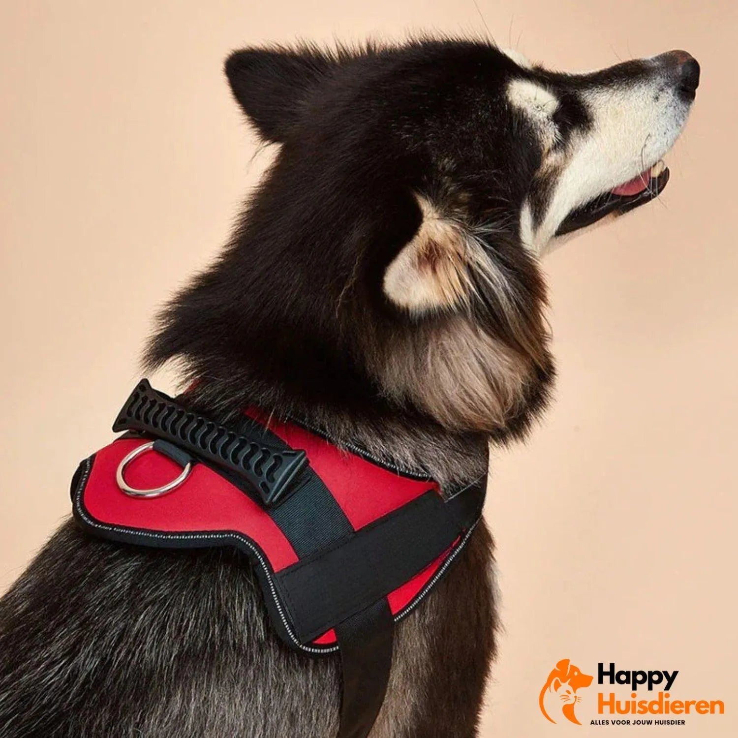 PawControl | Verstelbaar anti-trektuig voor honden