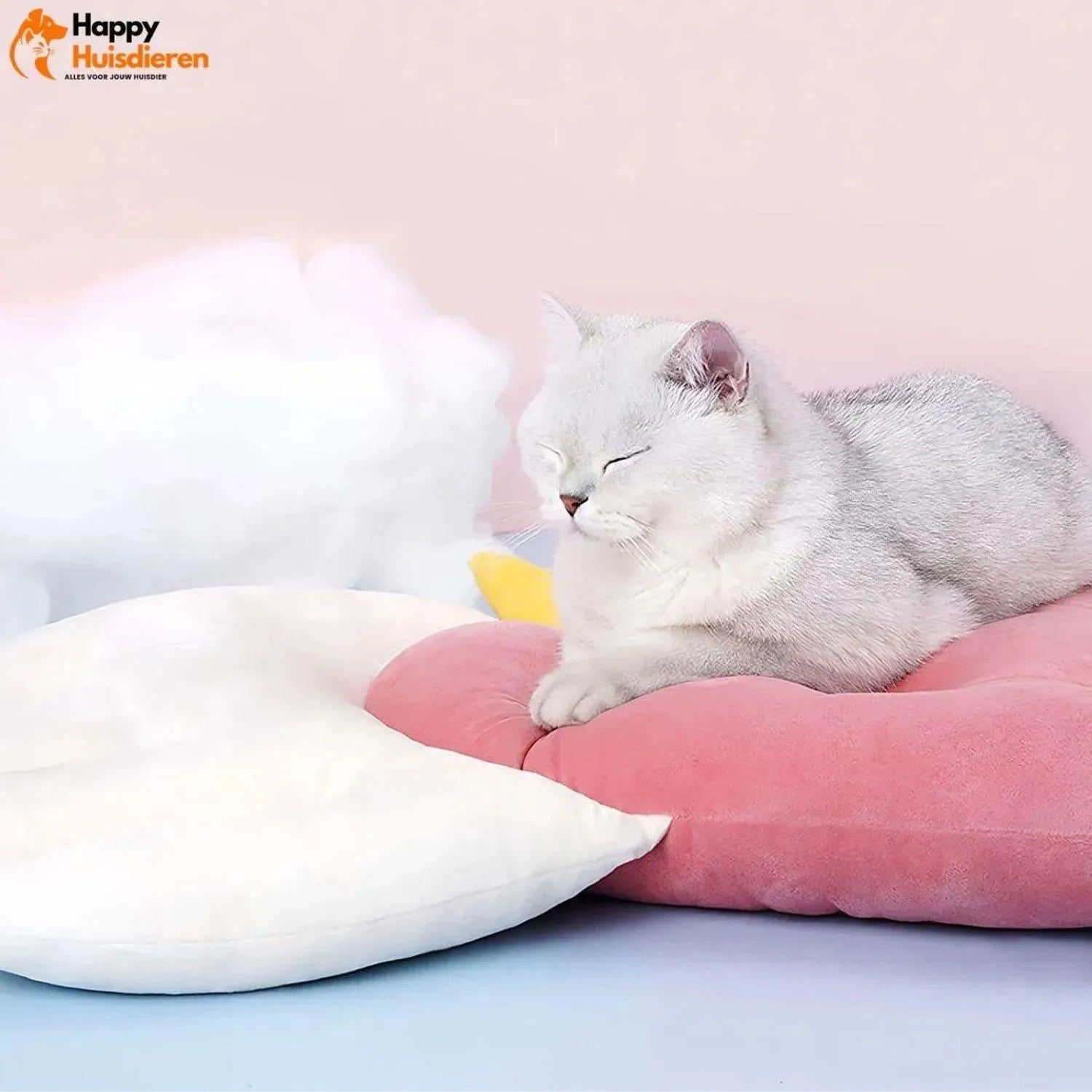 PawEase | Verstelbaar Pet Design voor Zachte Ondersteuning