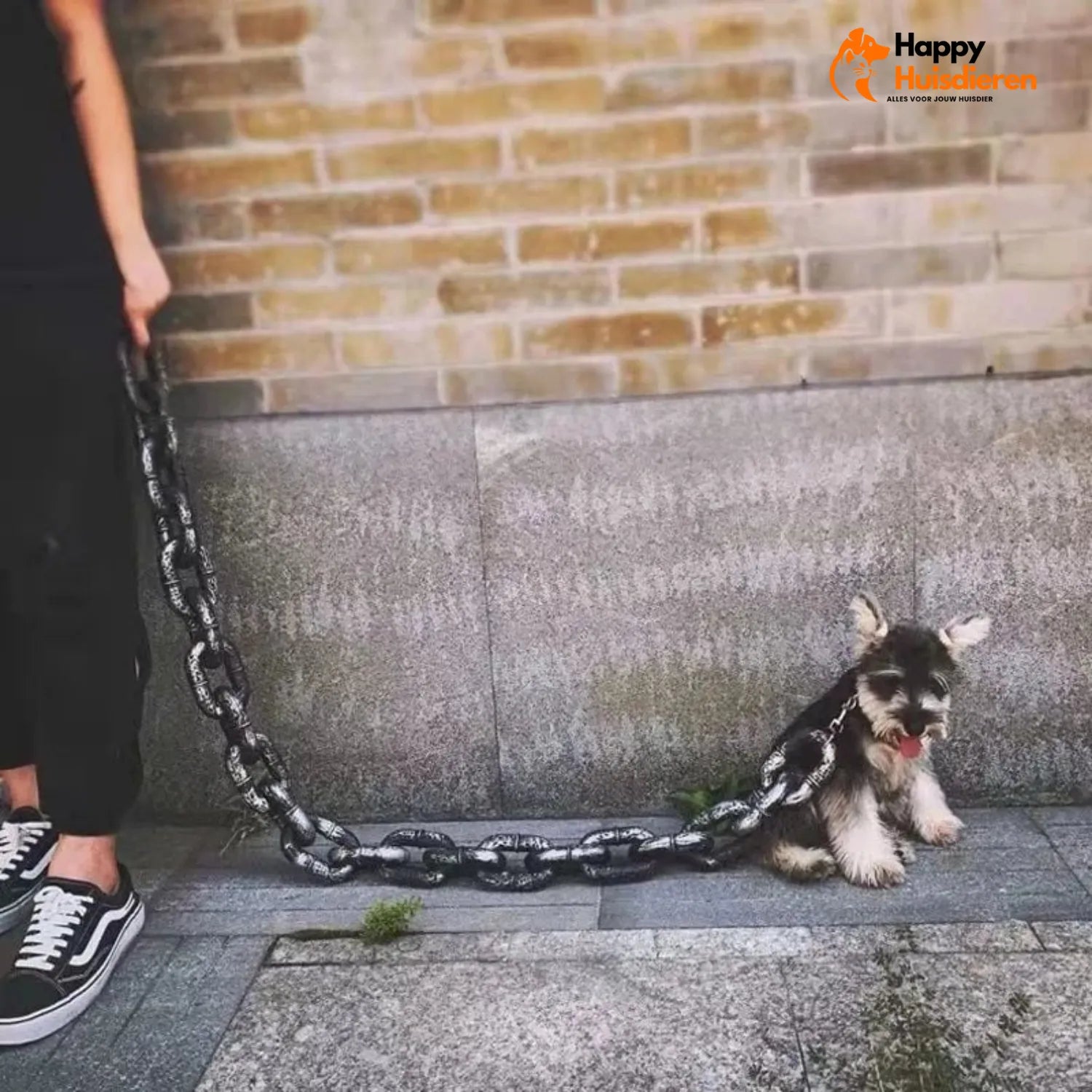 PawPal Slapstick | Robuuste Hondenriem voor Avontuurlijke Wandelingen