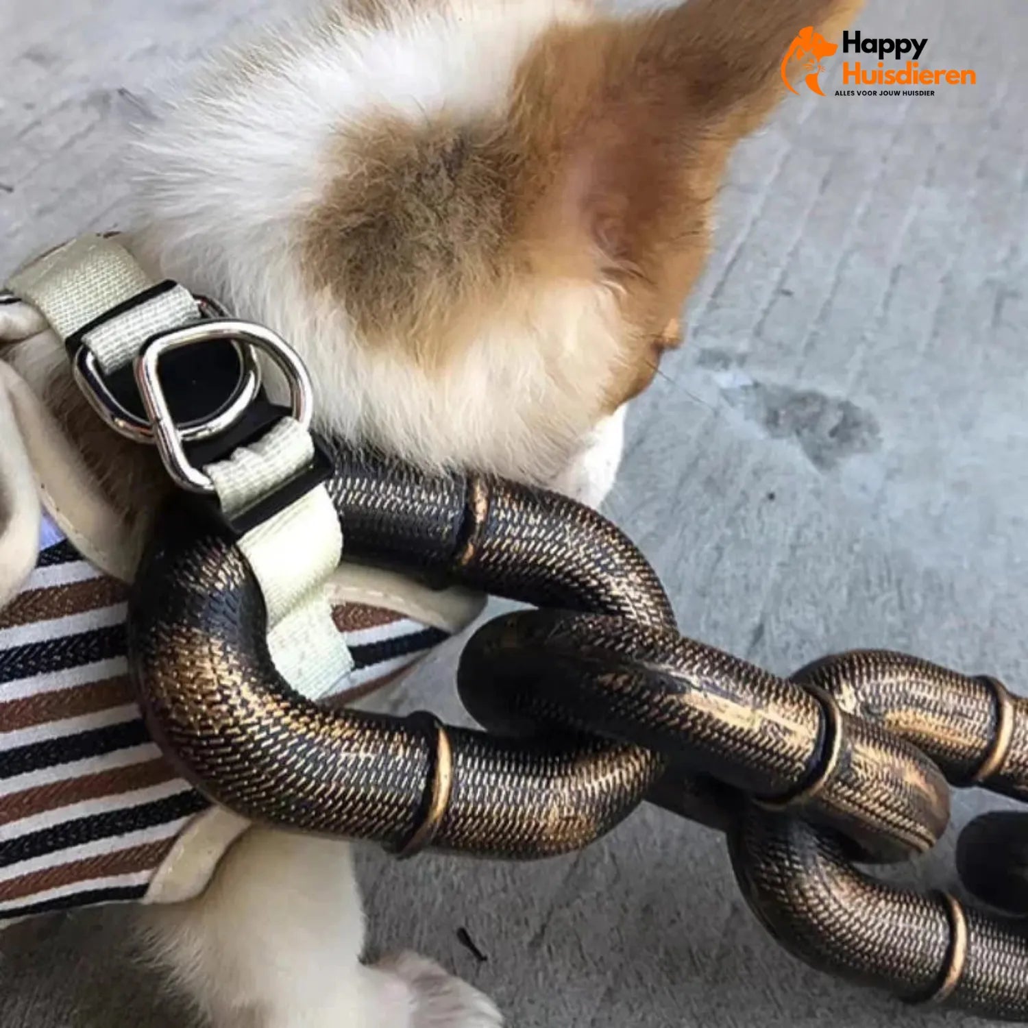 PawPal Slapstick | Robuuste Hondenriem voor Avontuurlijke Wandelingen