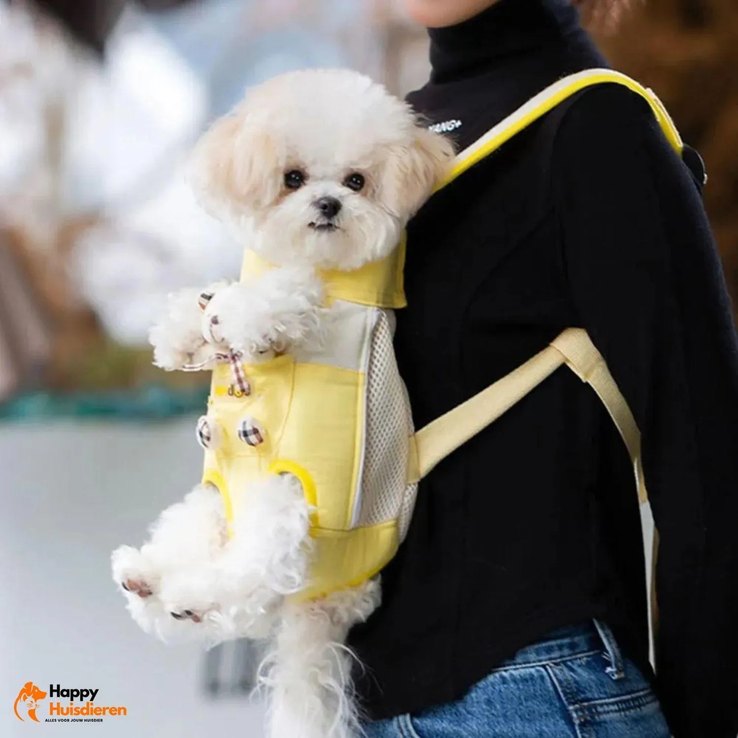 PawPorter Bag | Draagtas voor huisdieren met ademend ontwerp & veilige sluiting