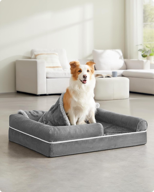 PawRest Orthopedisch Hondenbed | Ergonomisch Slaapcomfort met Wasbare Hoes