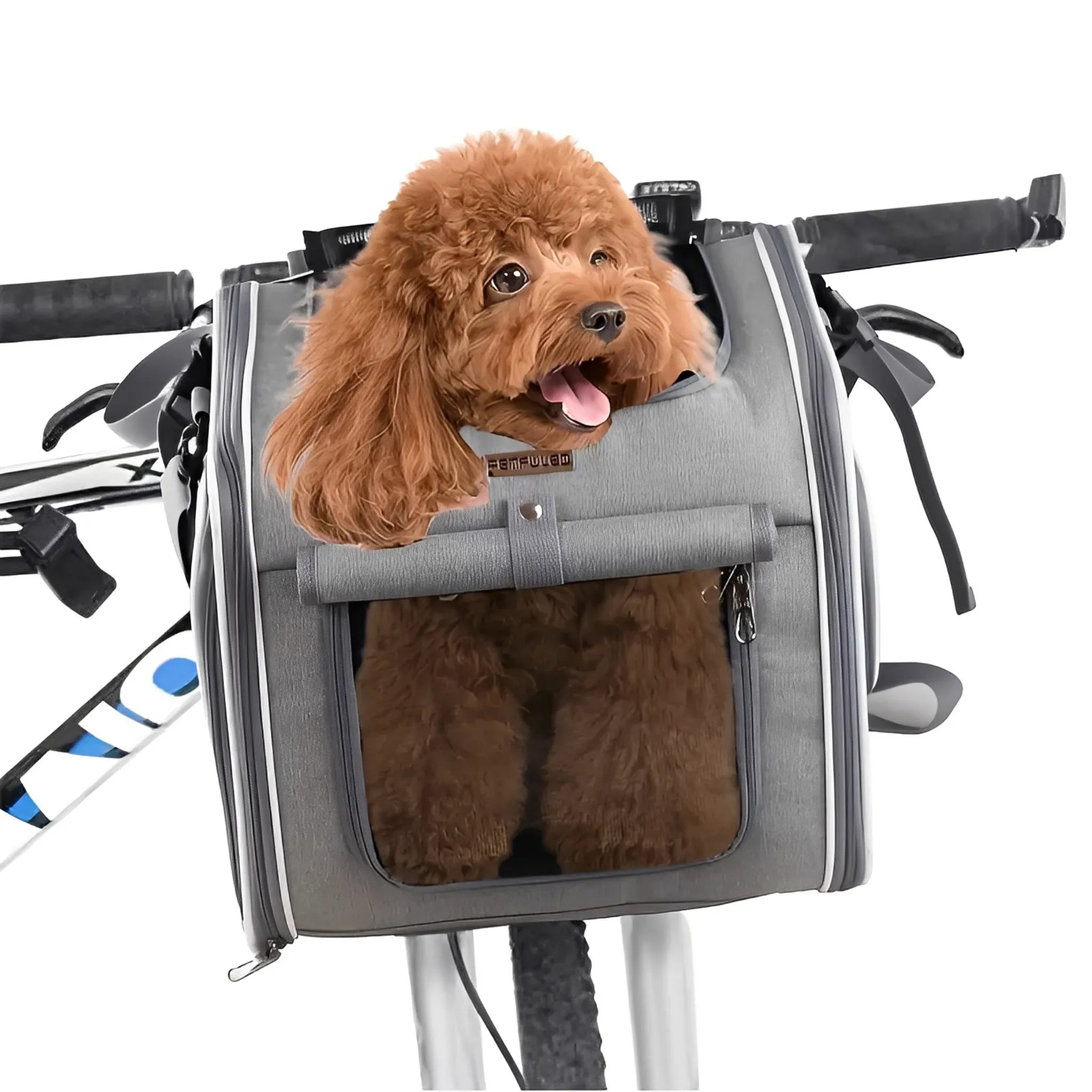PawRide Mand | Veilig Fietsen met Huisdieren