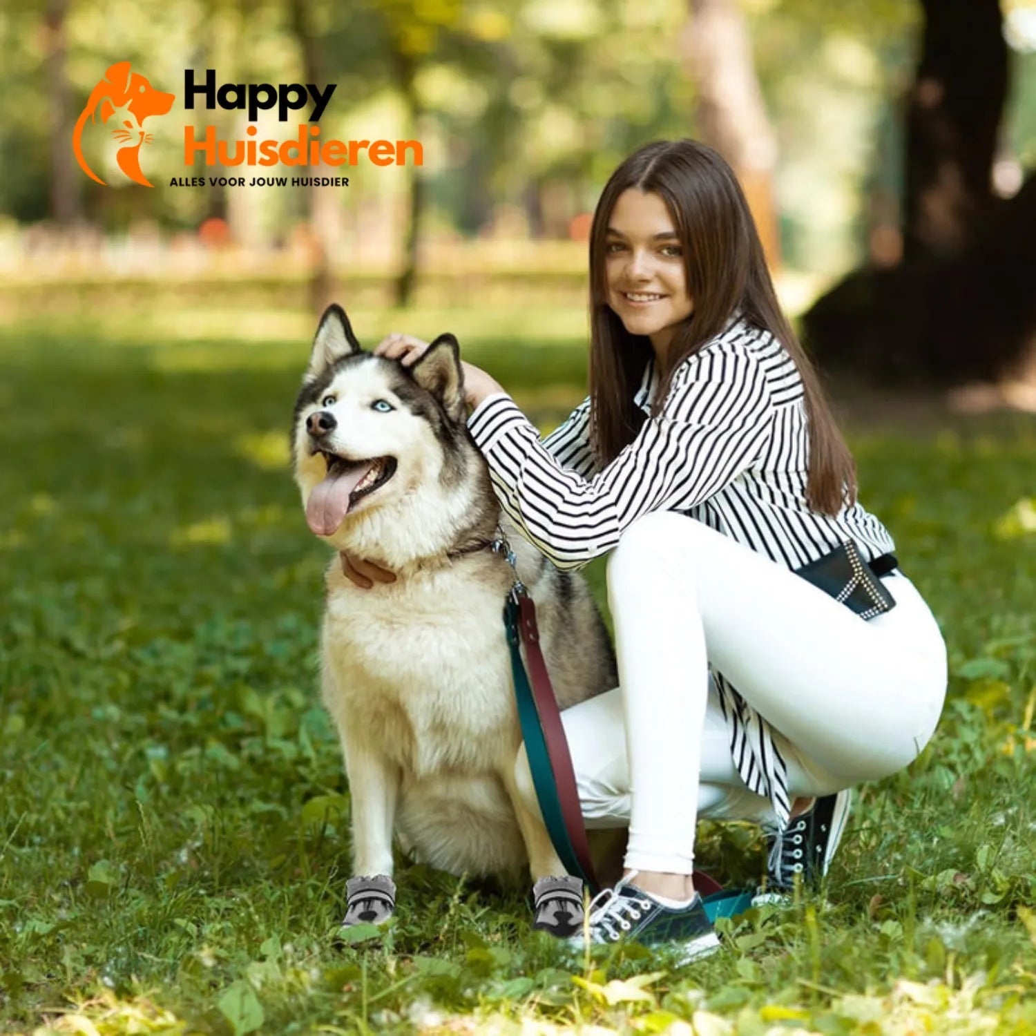 PawShield Set | Waterdichte Pootbeschermers voor Grote Honden met Antislip & Reflectie