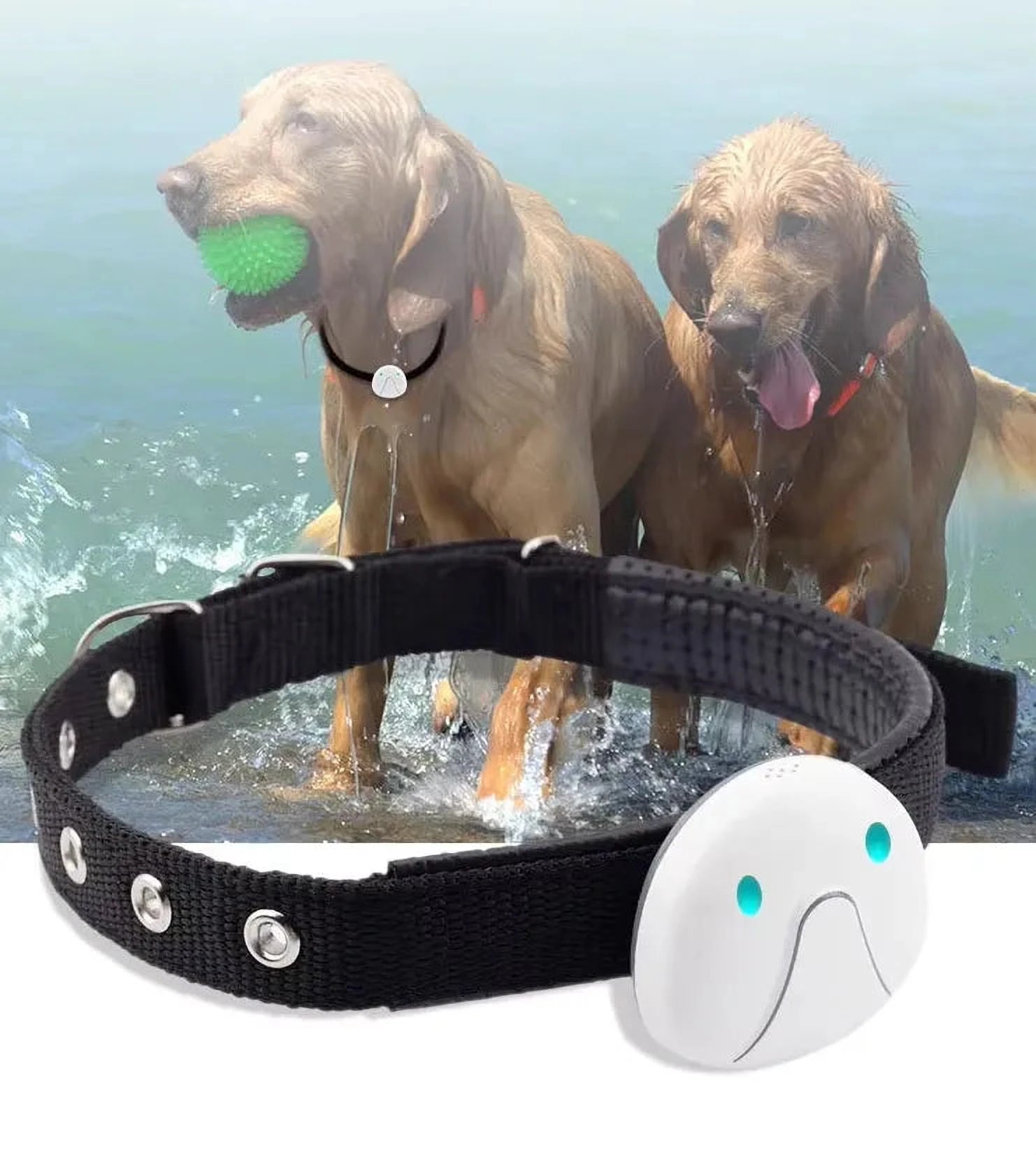 PawTrack Halsband | GPS-Tracker voor Honden – Live Locatie, Waterbestendig & Lange Batterijduur