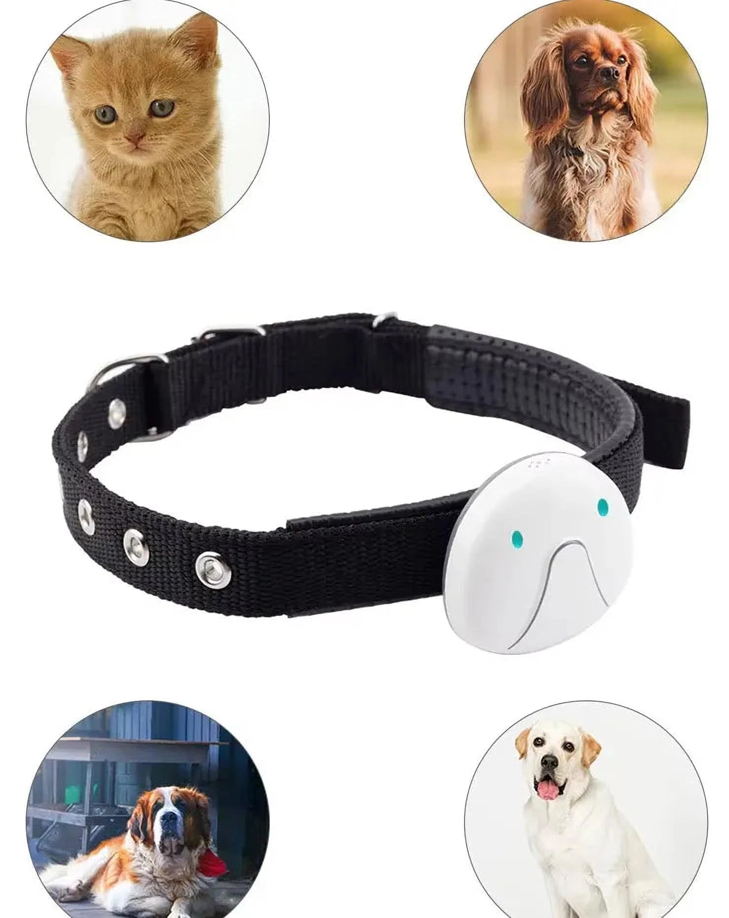 PawTrack Halsband | GPS-Tracker voor Honden – Live Locatie, Waterbestendig & Lange Batterijduur