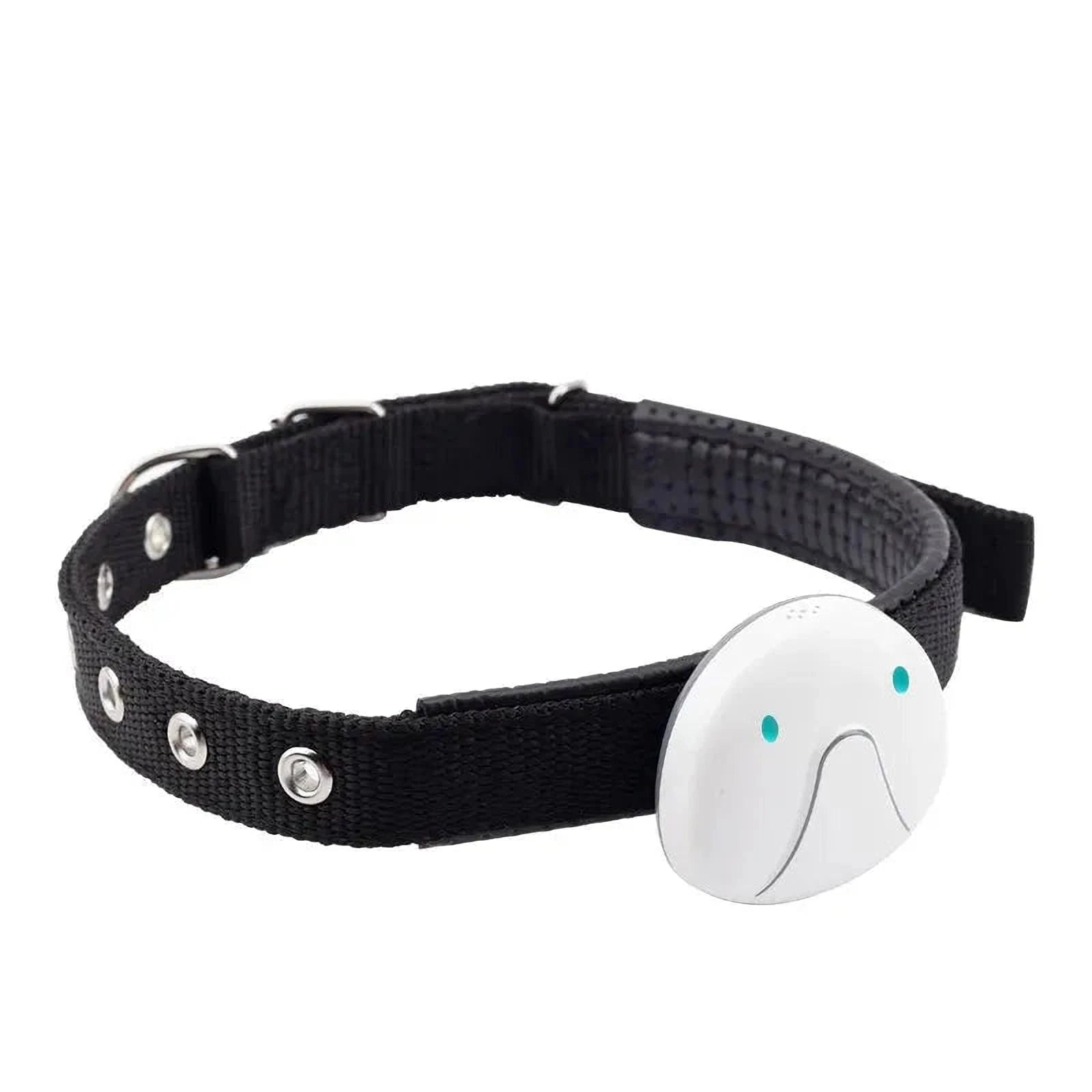 PawTrack Halsband | GPS-Tracker voor Honden – Live Locatie, Waterbestendig & Lange Batterijduur