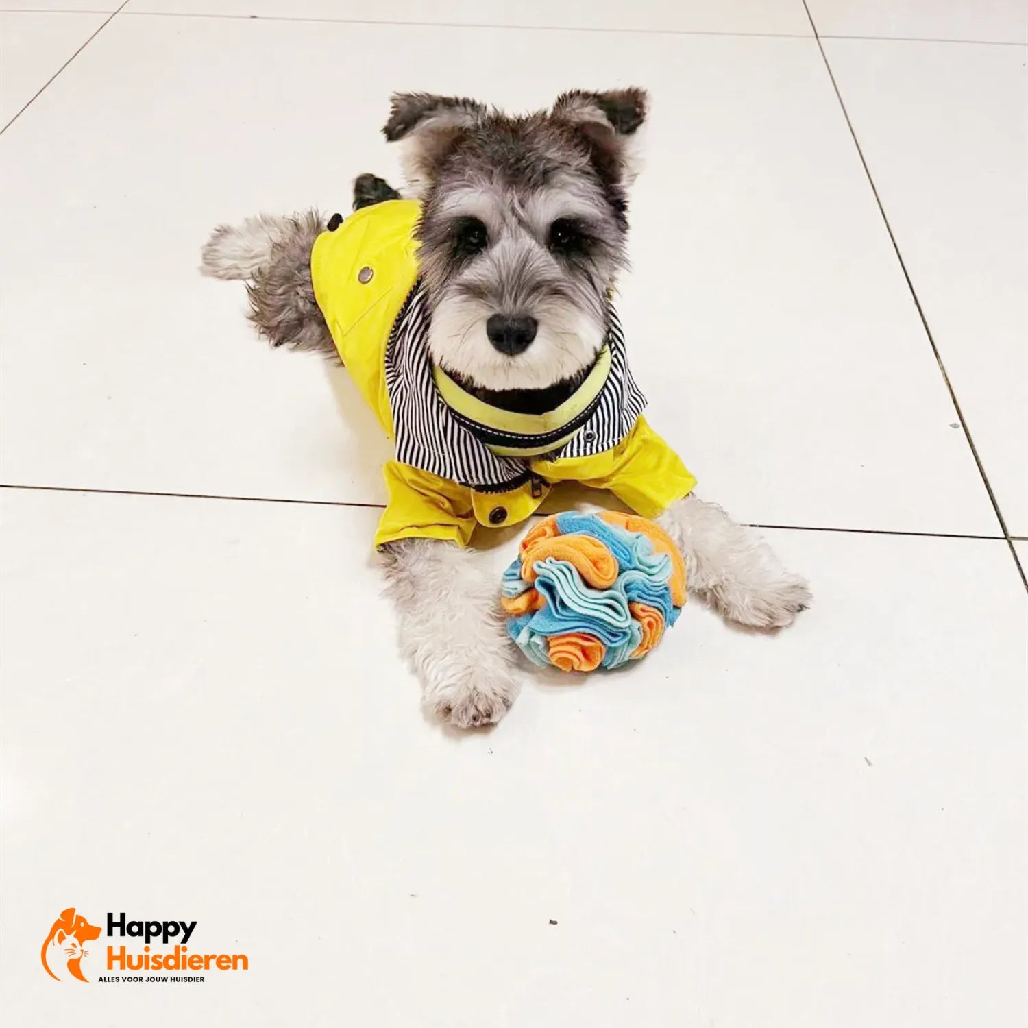 PawVerken Pretbal | Interactieve Snuffelbal voor Honden