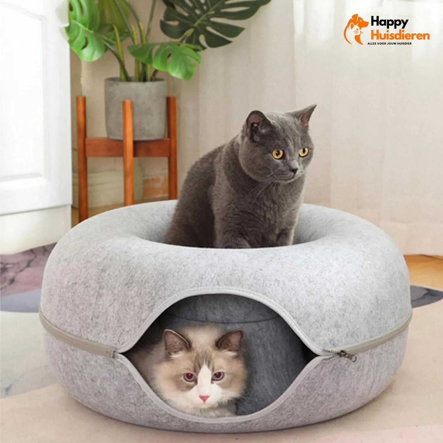 Peekaboo Nest | Kattenmand met Tunnelontwerp voor Spel en Ontspanning