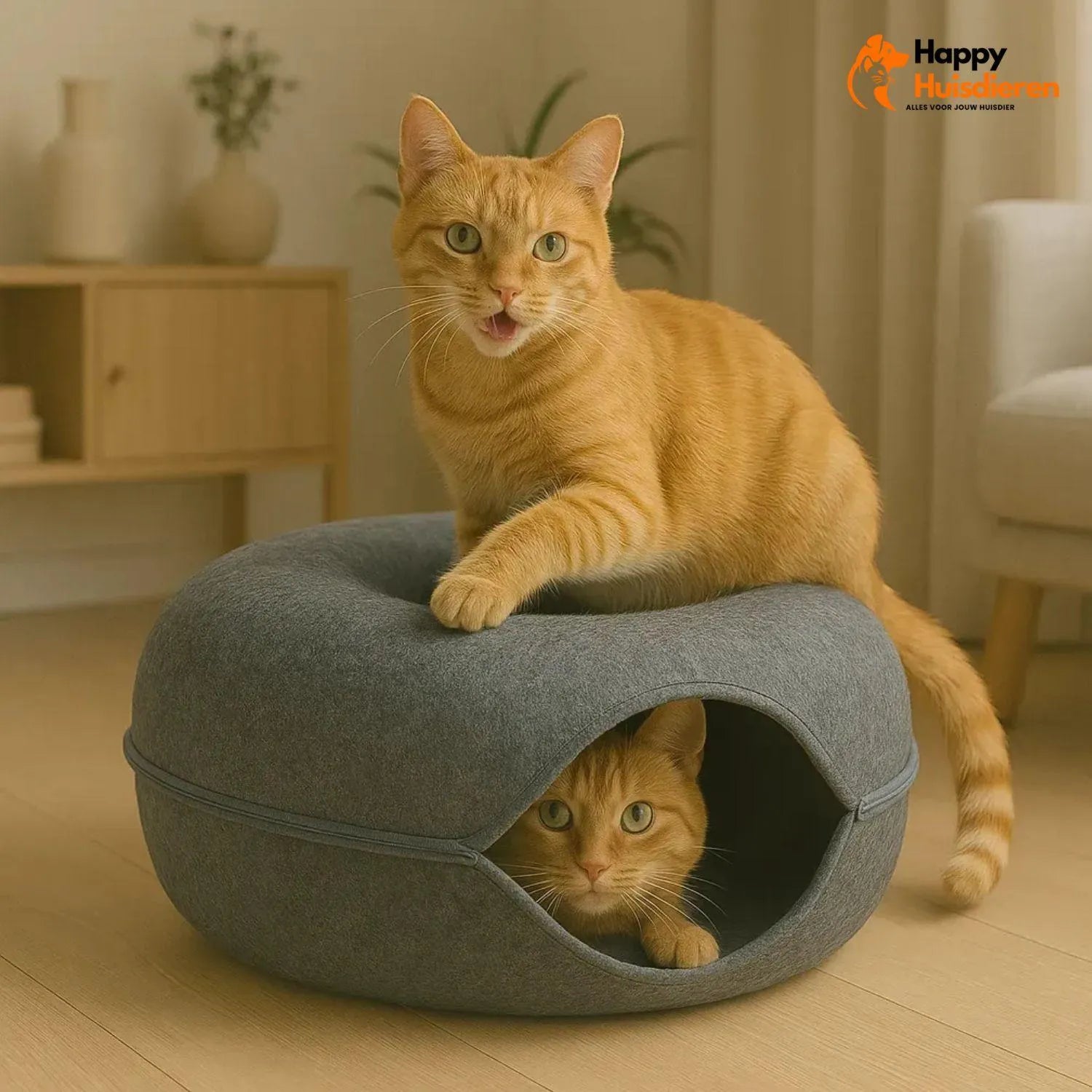 Peekaboo Nest | Kattenmand met Tunnelontwerp voor Spel en Ontspanning