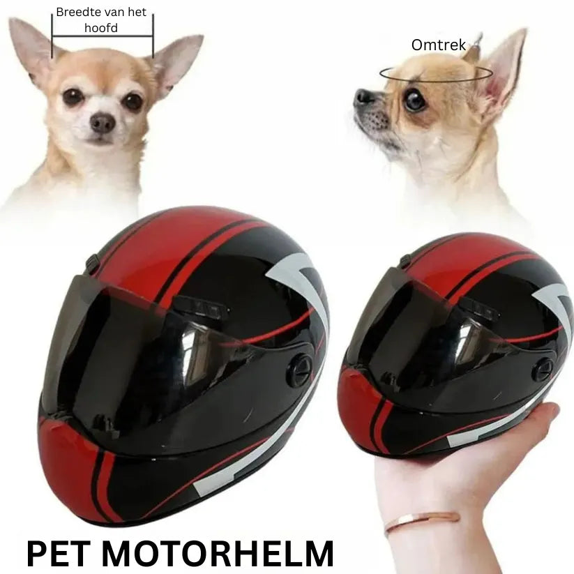 PetShield Mini Helm | Veiligheidskapje en Gezichtsbeschermer voor Kleine Honden en Katten