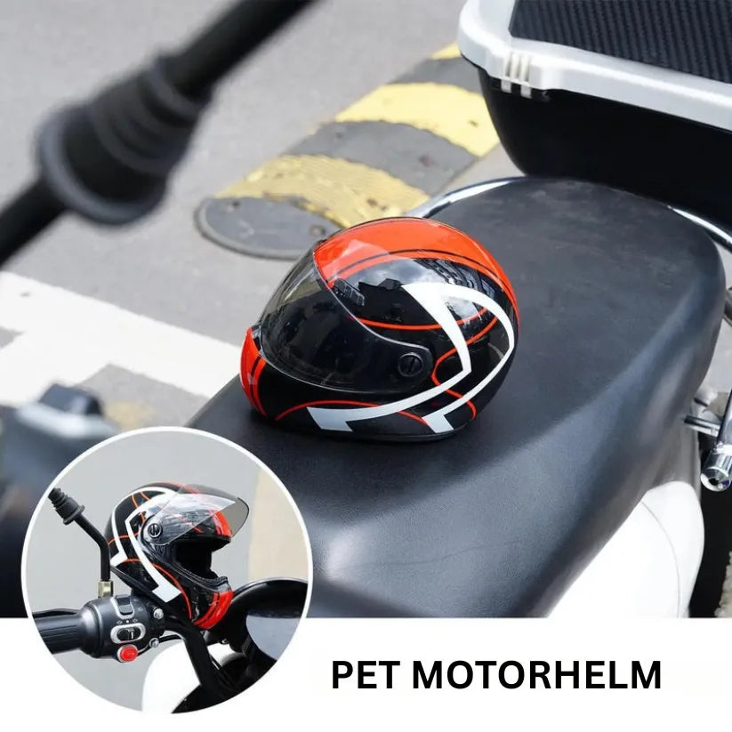 PetShield Mini Helm | Veiligheidskapje en Gezichtsbeschermer voor Kleine Honden en Katten