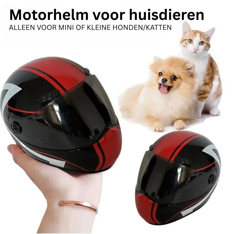 PetShield Mini Helm | Veiligheidskapje en Gezichtsbeschermer voor Kleine Honden en Katten
