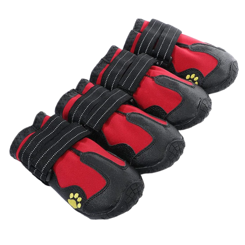 NordoPaws | Warme waterdichte hondenschoenen voor sneeuw & winterse wandelingen