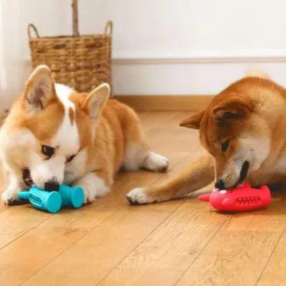 Pippa | Kauwspeelgoed Voor Honden