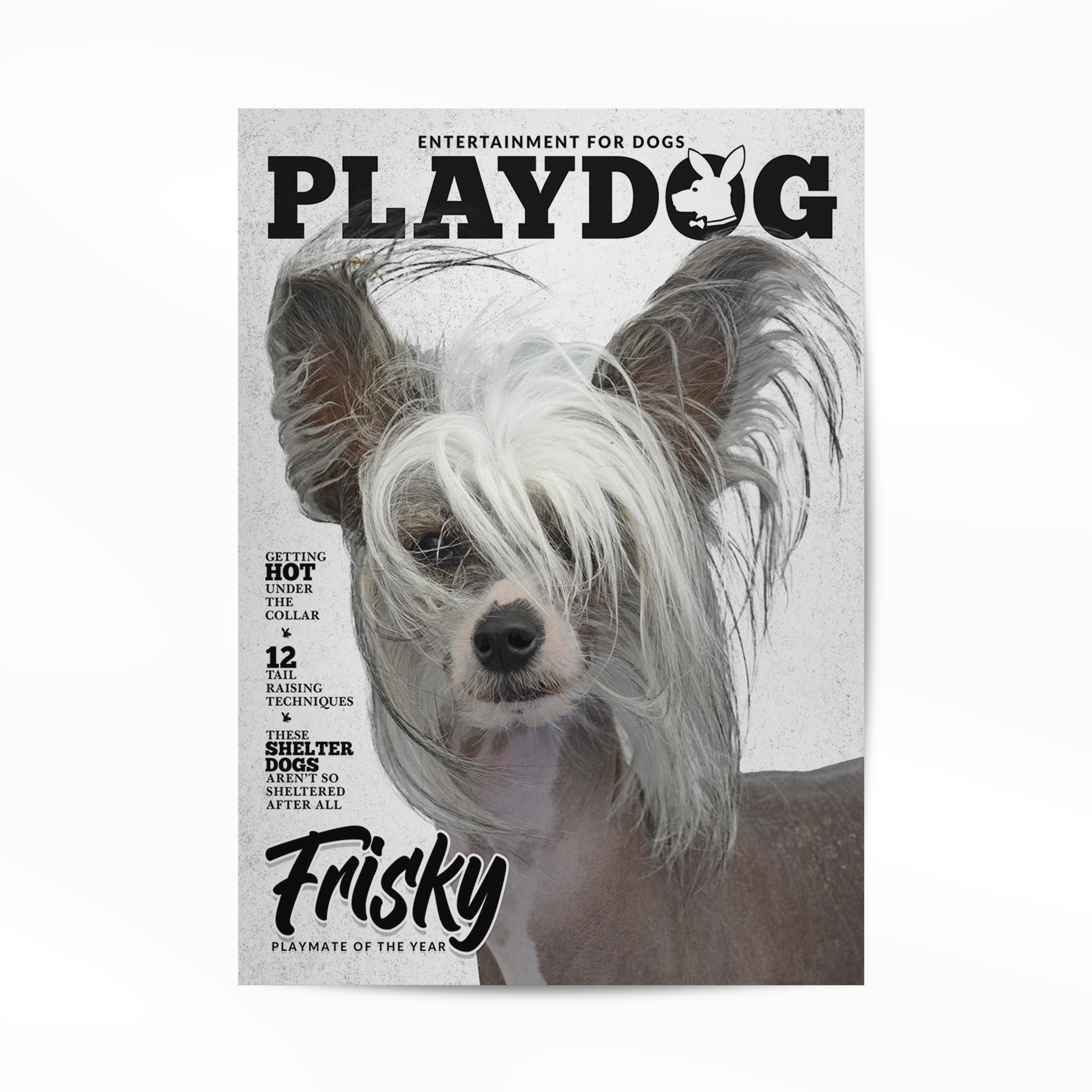 PetMuse | Gepersonaliseerd dierenportret met liefde