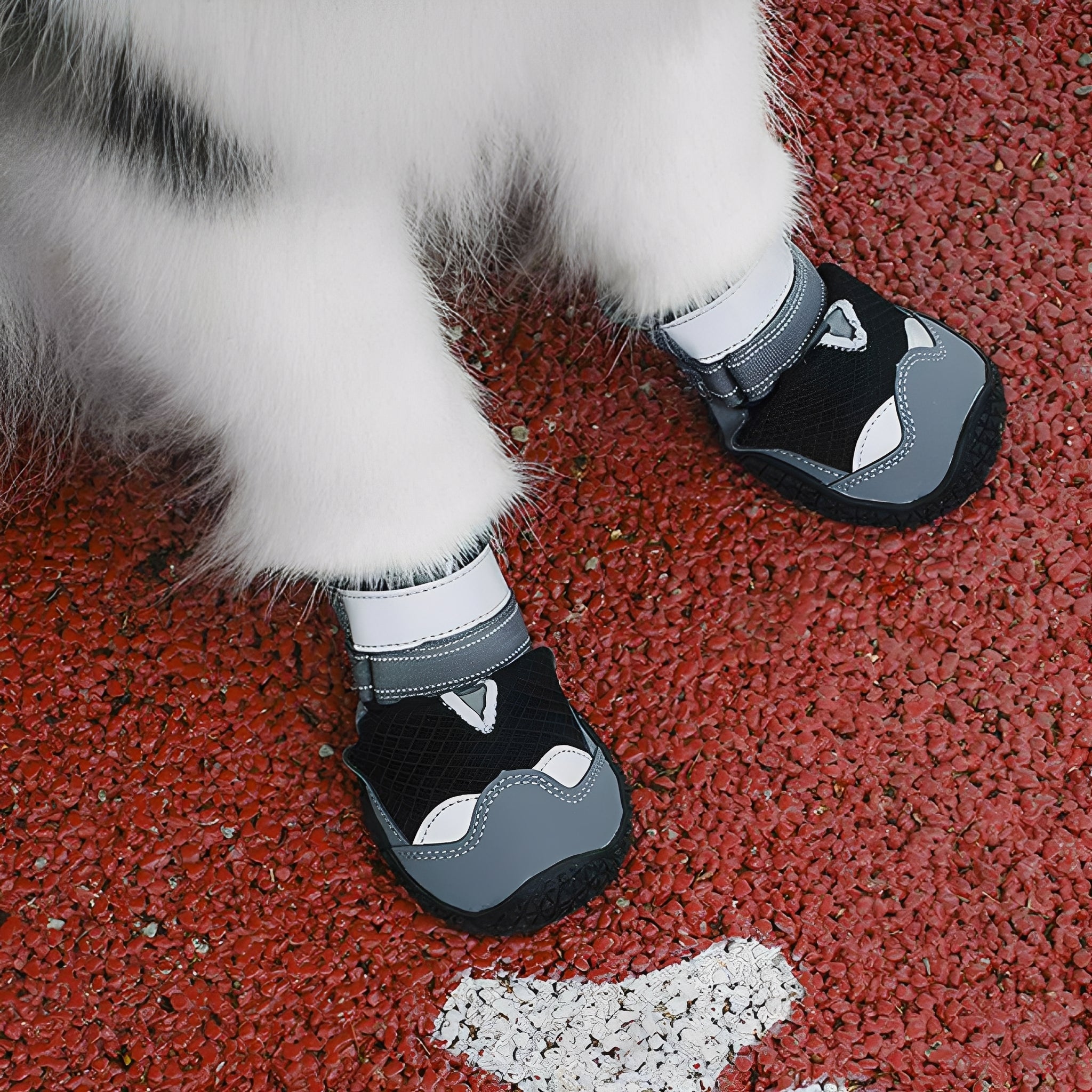 PootGrip Schoentjes | Beschermende Antislip Hondenschoenen voor Wandelen