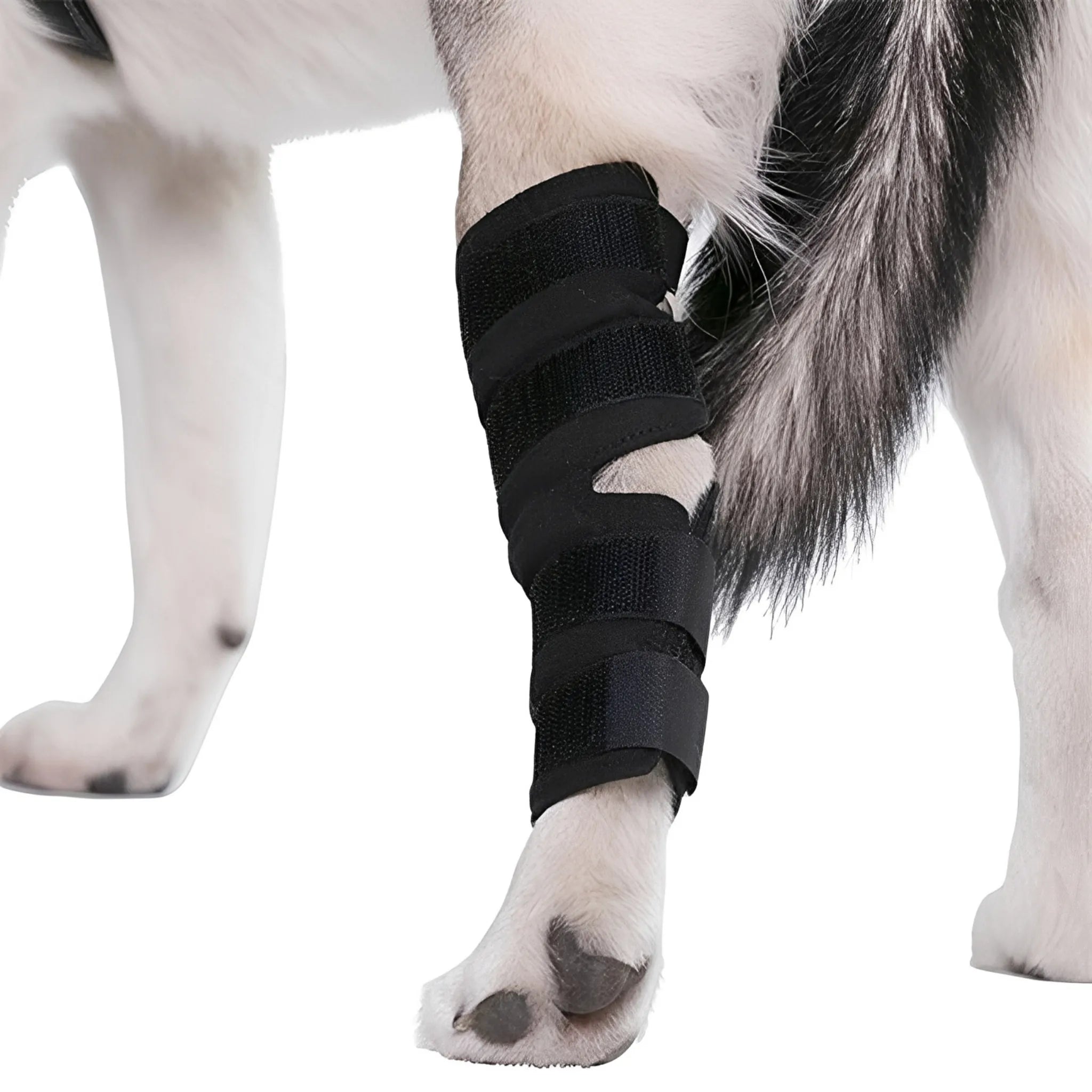 PootSteun Hondenbrace | Ondersteunende Orthopedische Pootbrace voor Honden