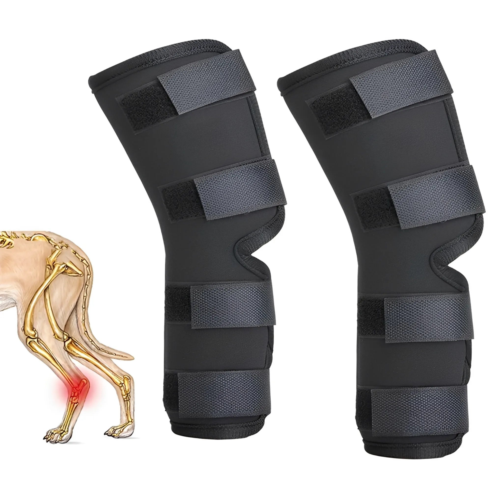 PootSteun Hondenbrace | Ondersteunende Orthopedische Pootbrace voor Honden