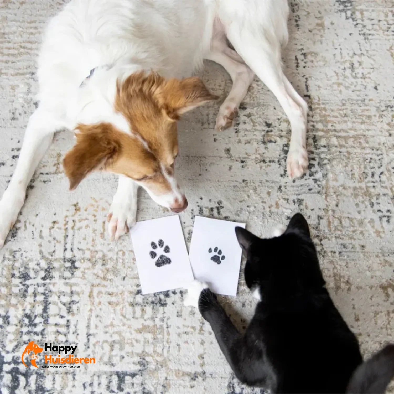 Pootafdruk Kit | Inktvrije Pootafdruk Set voor Honden & Katten – Blijvende Herinnering, Veilig & Vlekkeloos