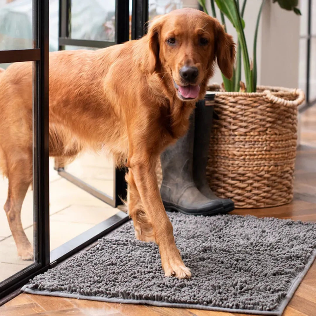 PotenSchoon Mat | Altijd een Schoon Huis Zonder Vuil