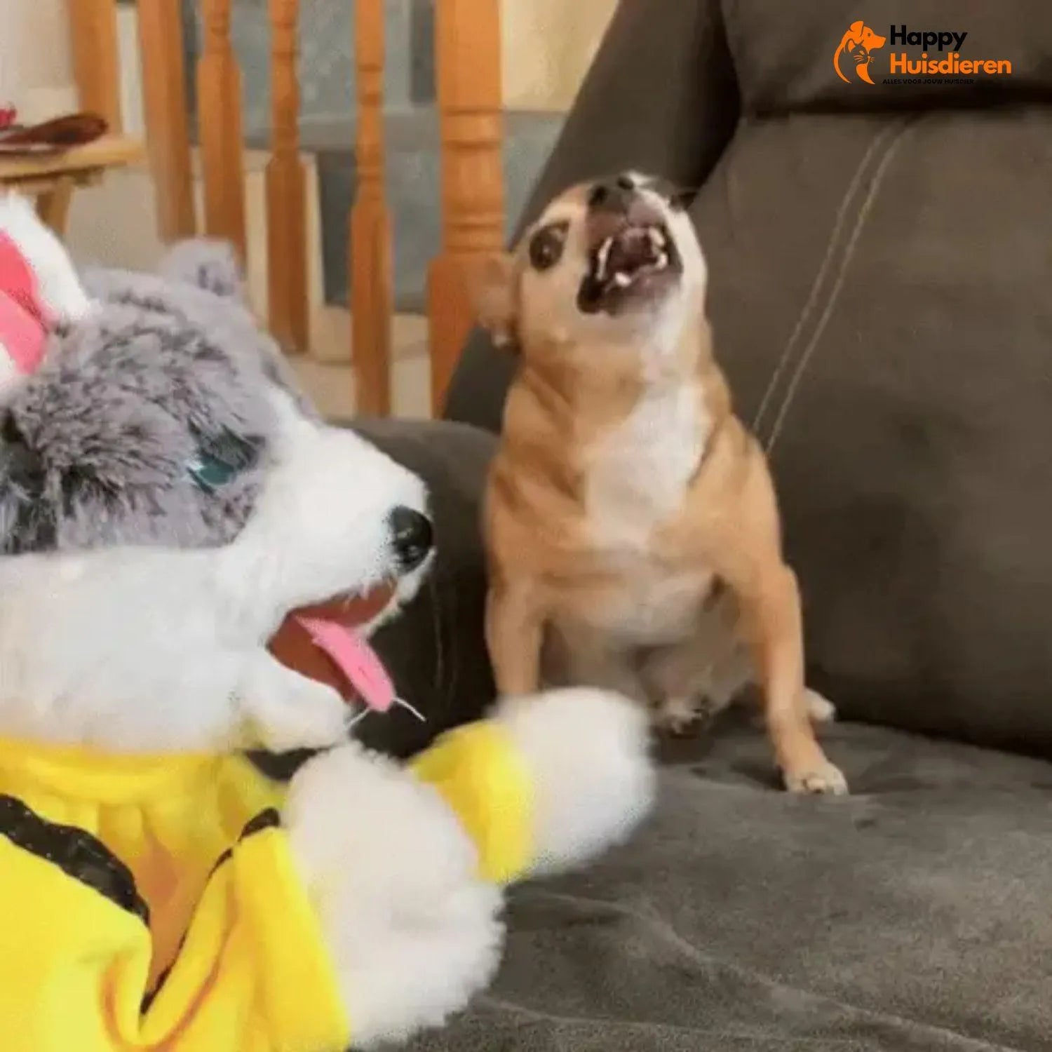 PunchPup | Interactief boks-speelgoed voor honden en katten