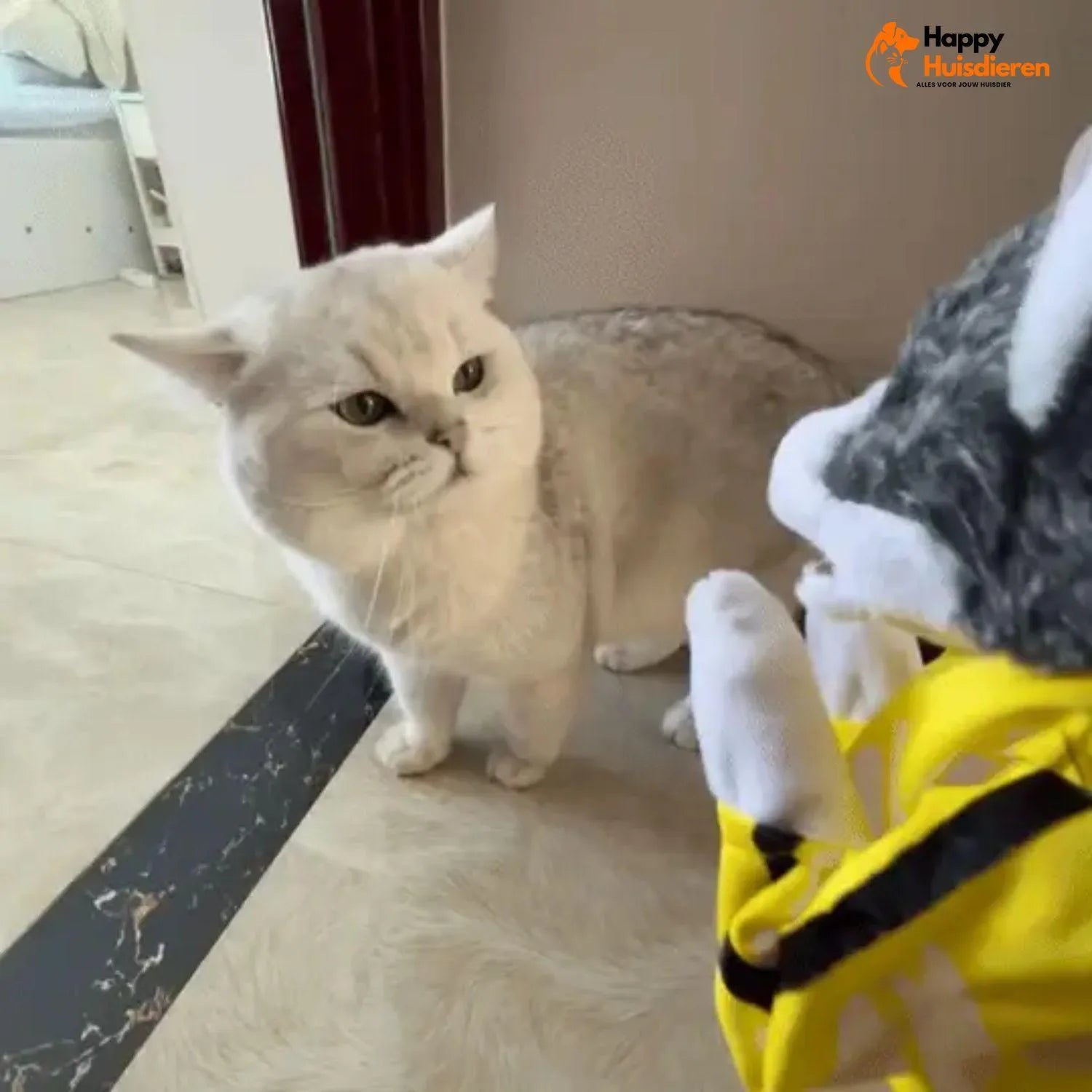 PunchPup | Interactief boks-speelgoed voor honden en katten