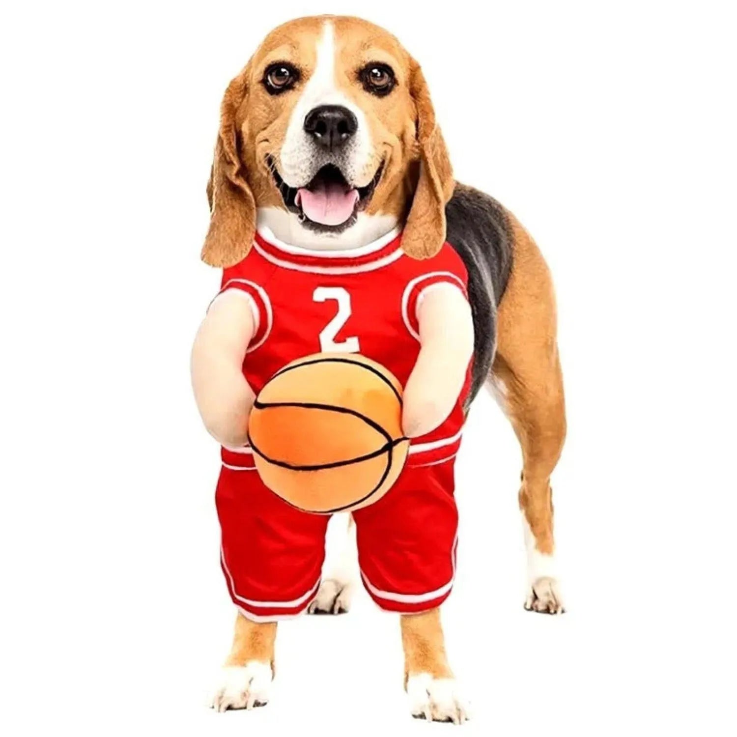 PupHoops | Grappig hondenkostuum voor feest en fotoshoots