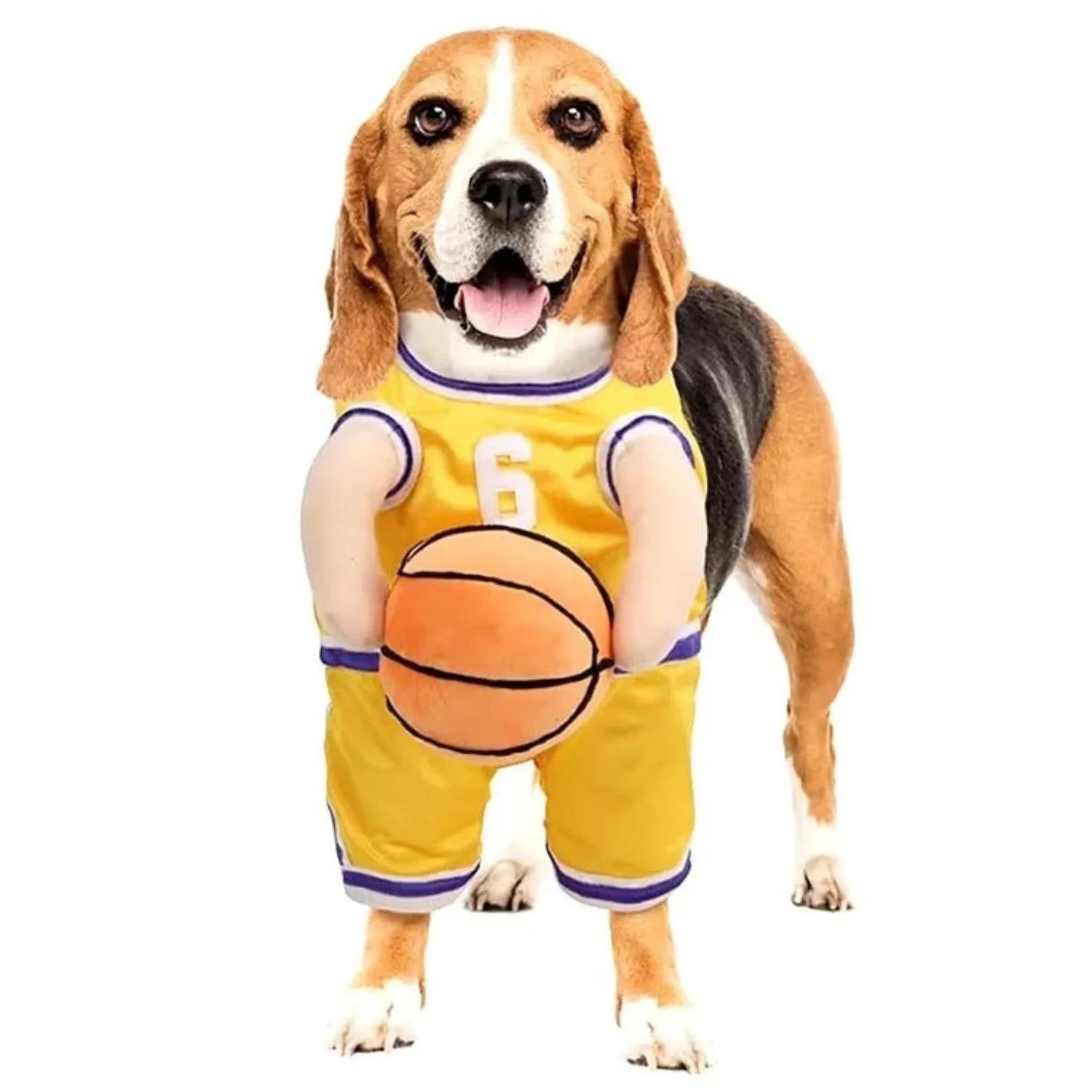 PupHoops | Grappig hondenkostuum voor feest en fotoshoots