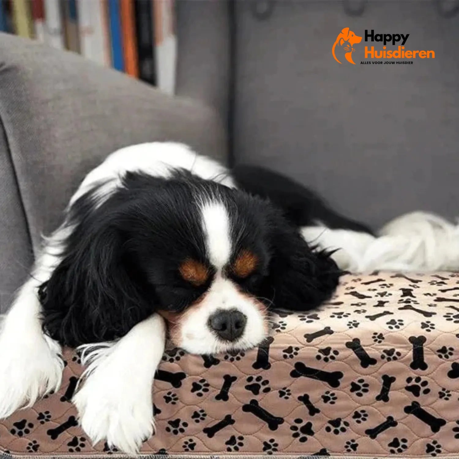 Puppy Eco Tapijt | Herbruikbare Plasmat voor Honden voor Zindelijkheid en Vloerbescherming