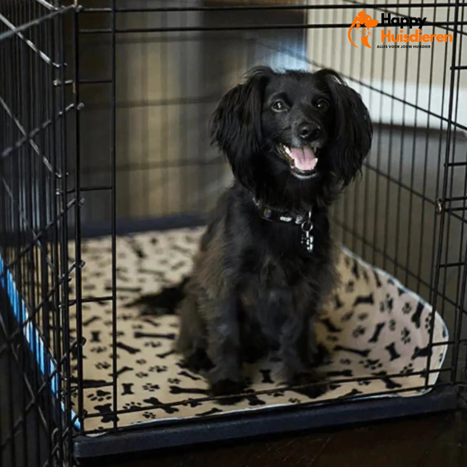 Puppy Eco Tapijt | Herbruikbare Plasmat voor Honden voor Zindelijkheid en Vloerbescherming