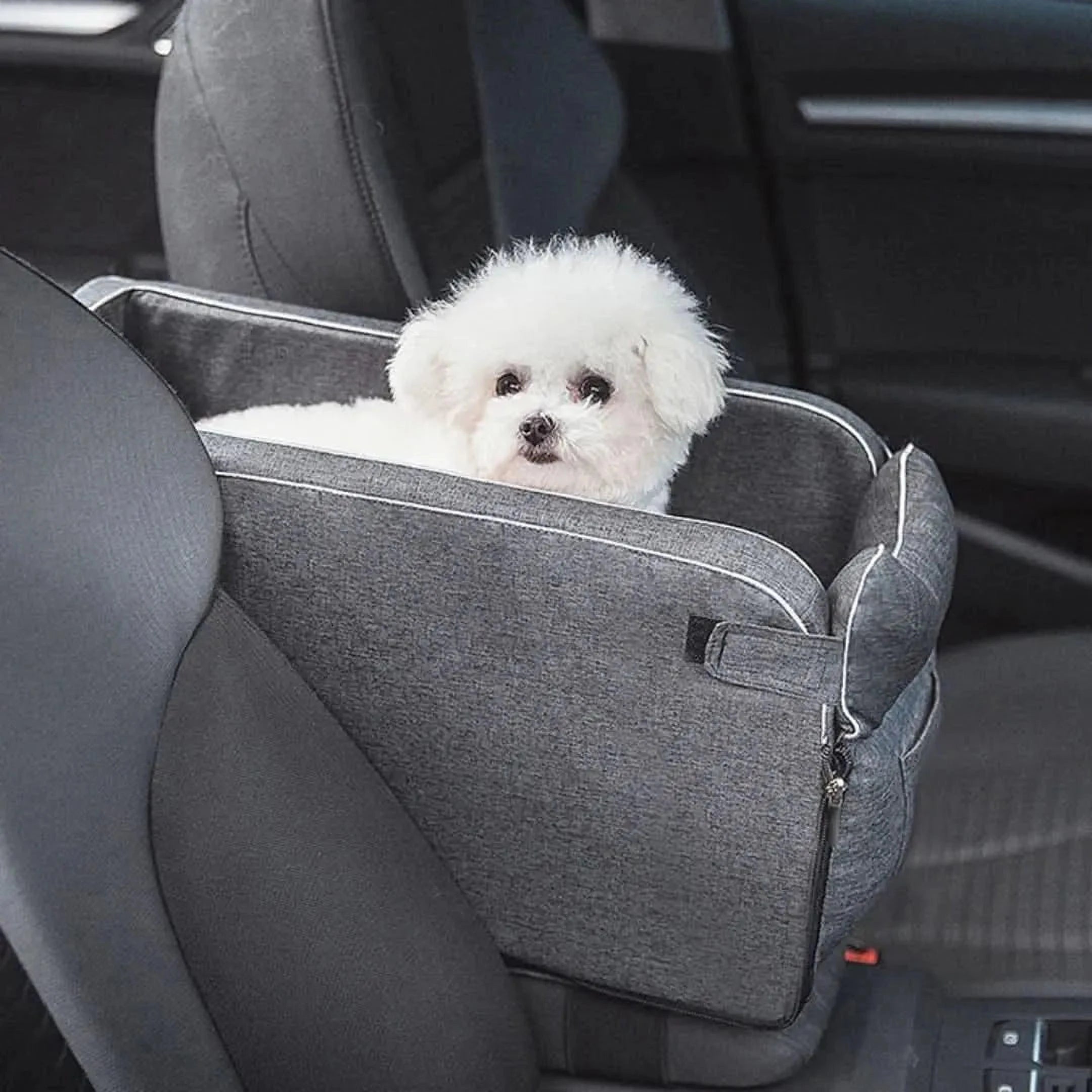 PuppyTrek Drager | Draagbare Hondenmand voor Onderweg