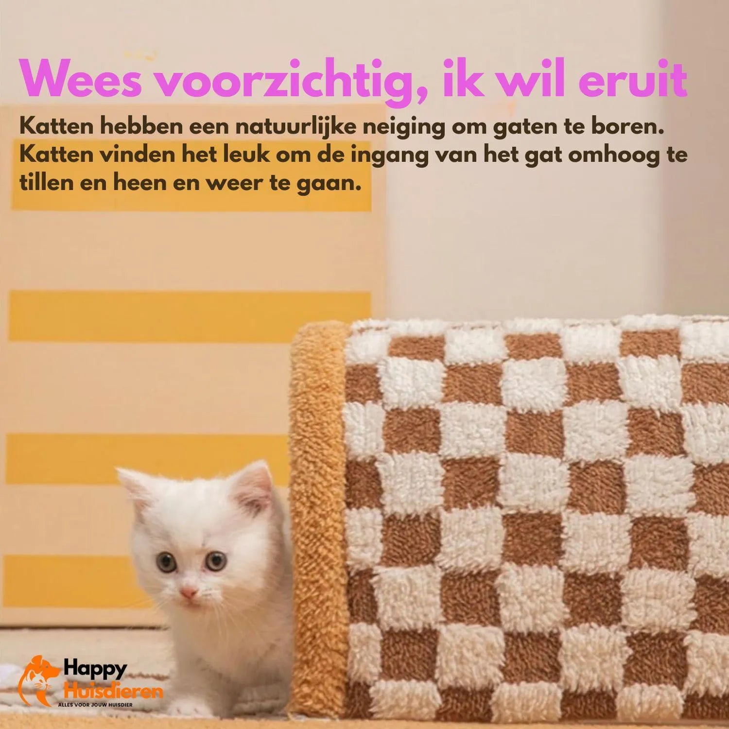 PurrPath Tunnel | Kattentunnel met deken & speelbal – comfortabel & interactief