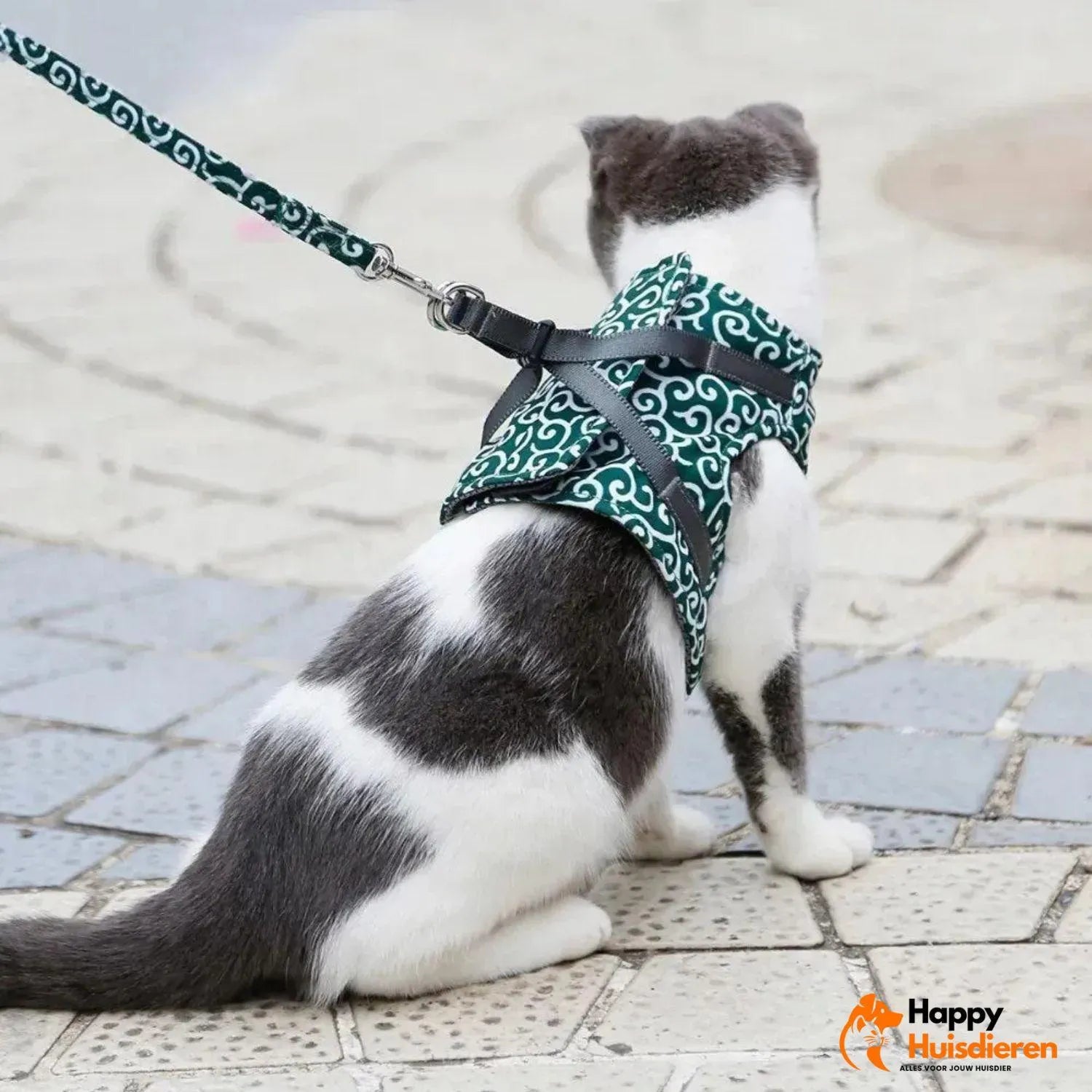 PurrTrail Harness | Verstelbaar kattentuigje voor buiten met ademend ontwerp