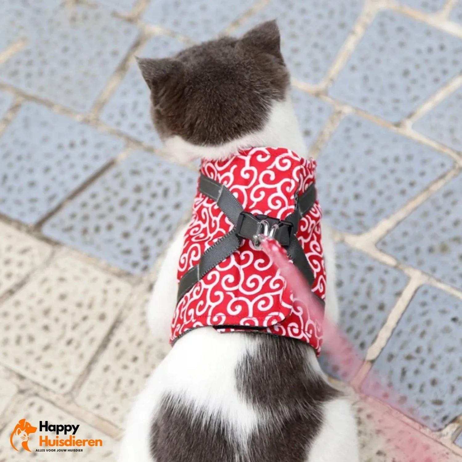 PurrTrail Harness | Verstelbaar kattentuigje voor buiten met ademend ontwerp