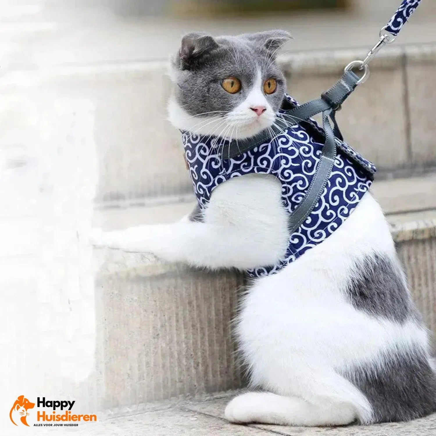 PurrTrail Harness | Verstelbaar kattentuigje voor buiten met ademend ontwerp