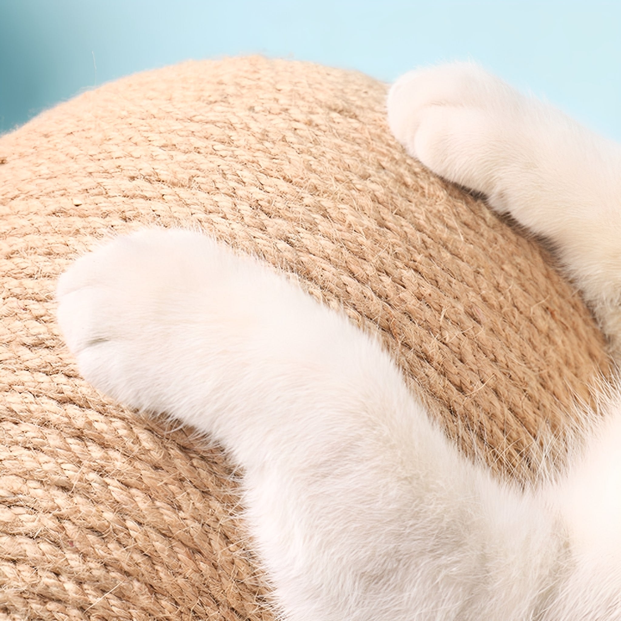 Purrfect Spin Bol | Draaiend Speelgoed Voor Kattenplezier