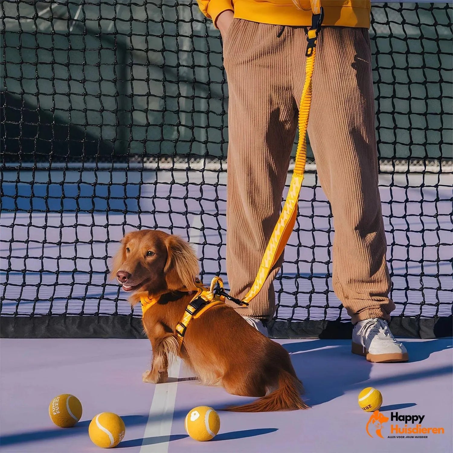ReflectaWalk Lead | Duurzame Dubbelzijdige Riem voor Grote Honden