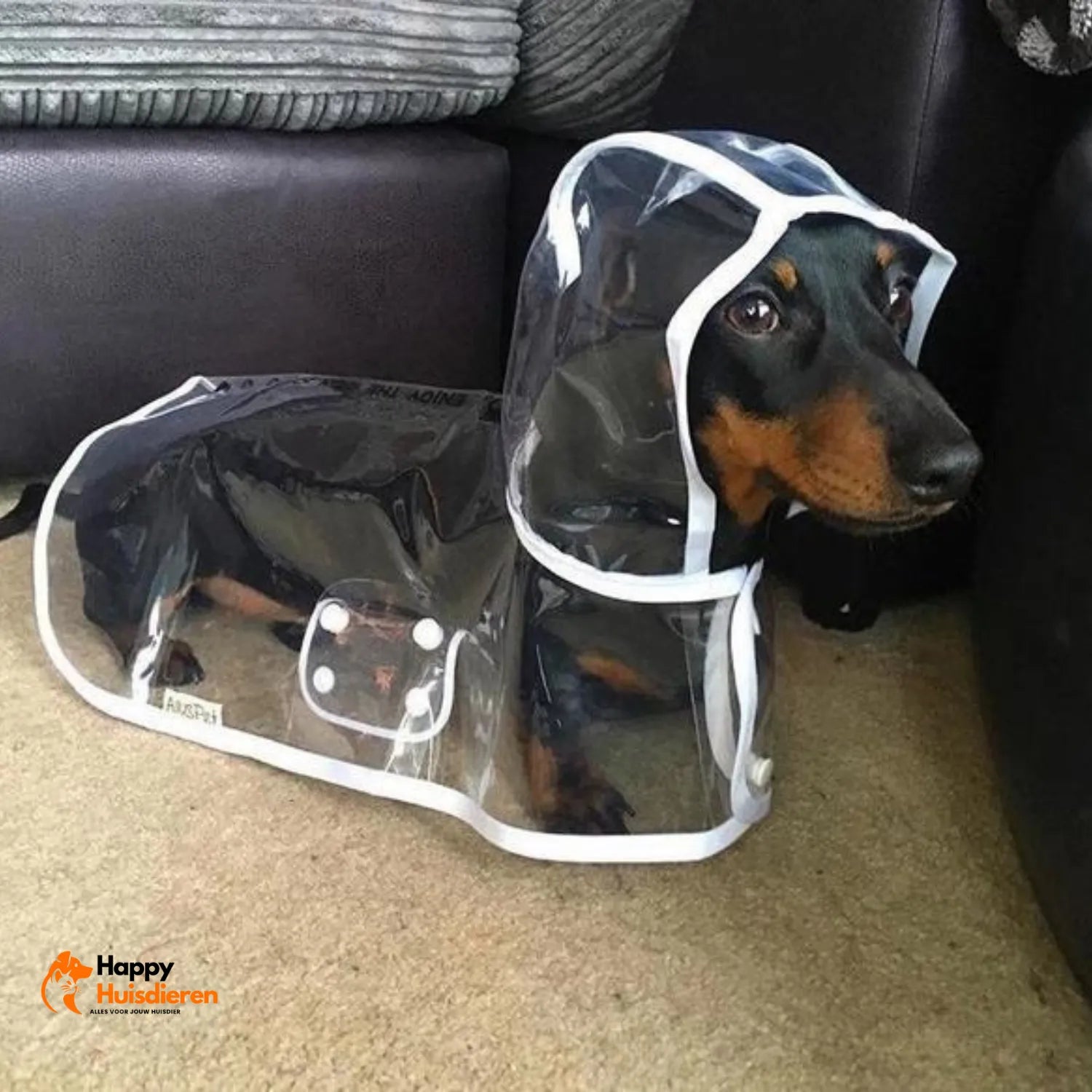 RegenShield Hondjas | Transparante Regenjas voor Honden