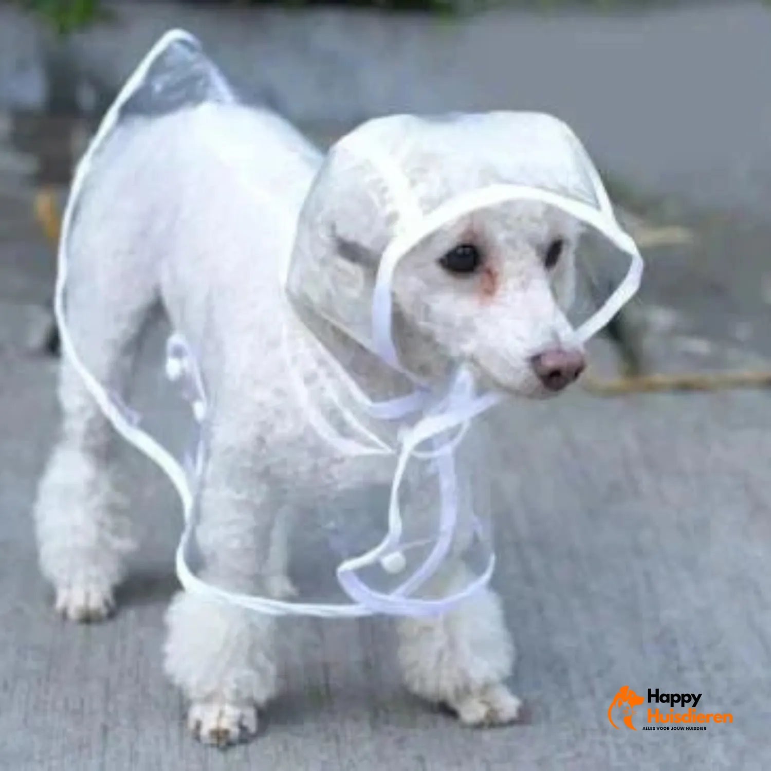 RegenShield Hondjas | Transparante Regenjas voor Honden