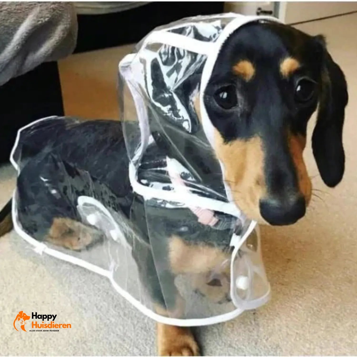 RegenShield Hondjas | Transparante Regenjas voor Honden