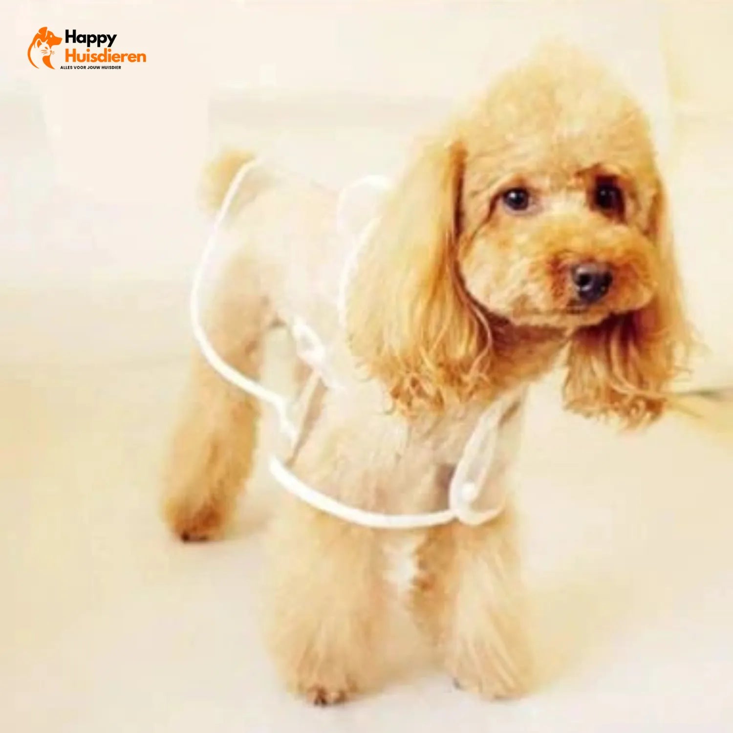 RegenShield Hondjas | Transparante Regenjas voor Honden