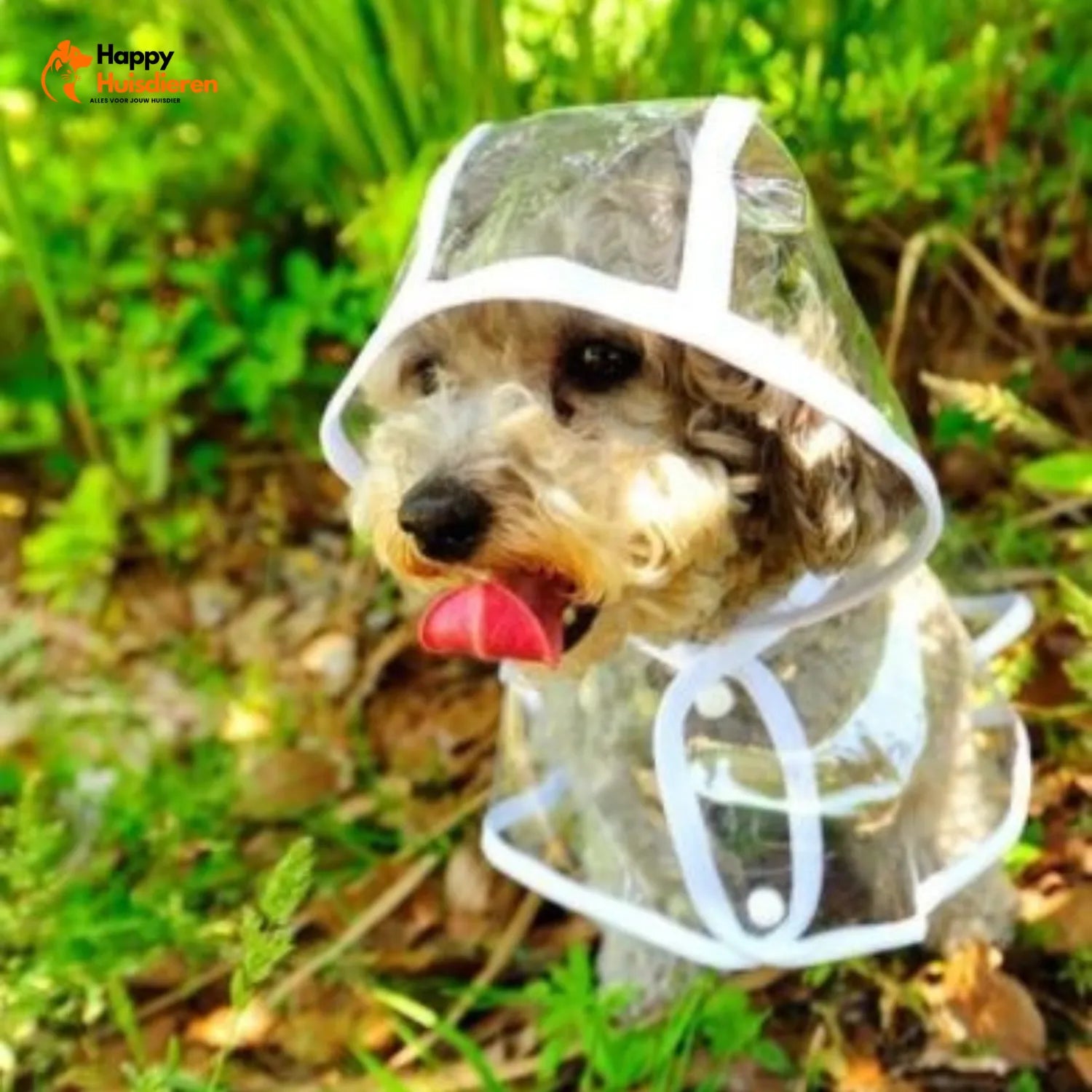 RegenShield Hondjas | Transparante Regenjas voor Honden