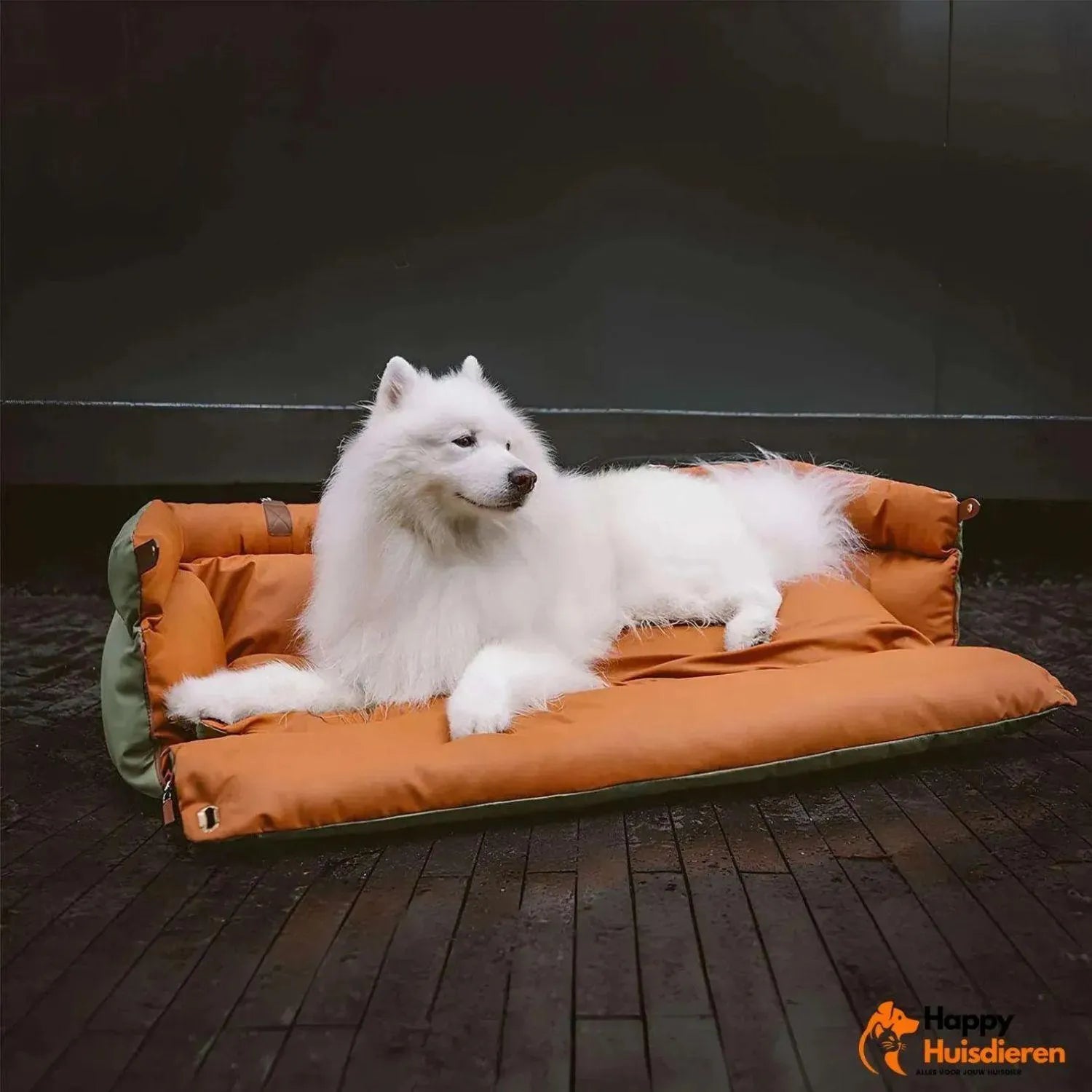 Reisgenoot voor huisdieren | Grote kunstleren autostoel voor honden met verhoogd zitcomfort