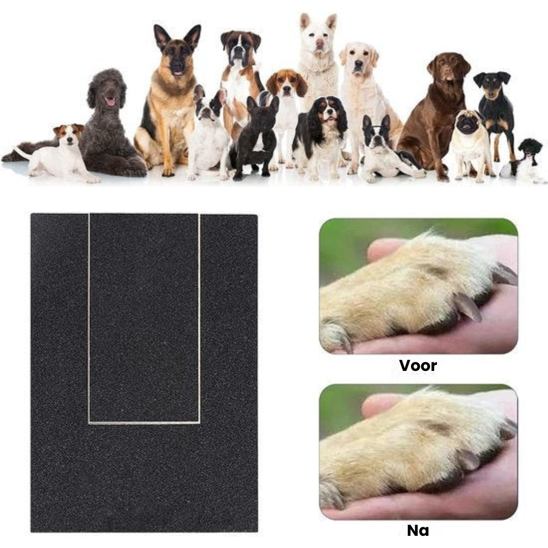 ScratchEase Board | Honden nagelvijl hout natuurlijk zelfslijpend
