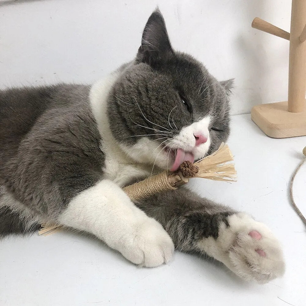 ScratchNest | Krabpaal voor katten van karton met kattenkruid